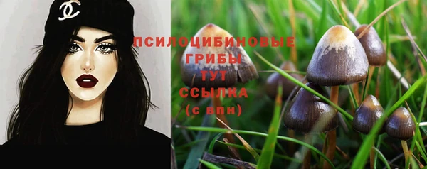 трава Балахна