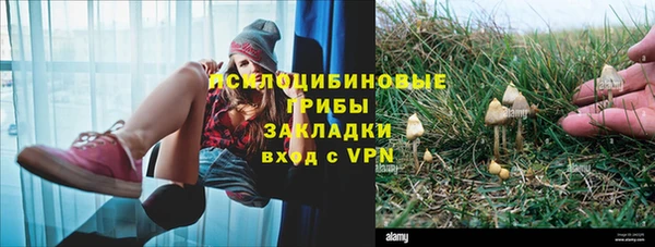 трава Балахна